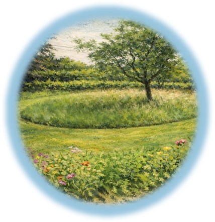 Entretien et embellissement